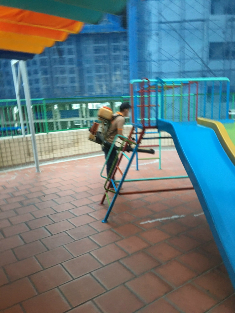 11.jpg